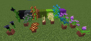 flowers.png
