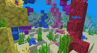 nautilus_nest.png
