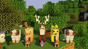Mobs