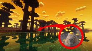 Peak Thumbnail -143