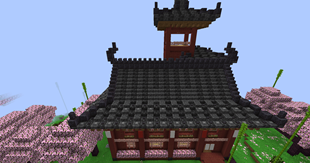 Village