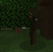 Screenshot 2025-08-22 132000.png