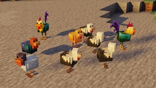Chickens