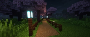 Echoes of Nostalgia