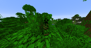 Jungle creeper
