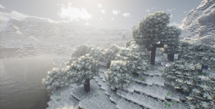 winter realpix 2.jpg