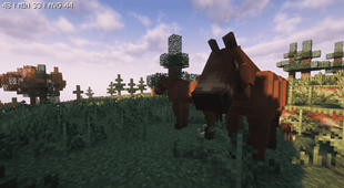 I found this in the middle of a field, I'm surprised how they didn't got eaten.
