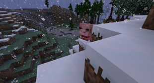 Pig
