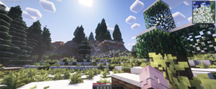 Better MC+ light and shadow+optimized frame rate