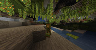 Lush creeper