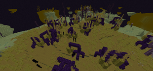 Wild end biome
