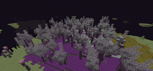 Chorus forest