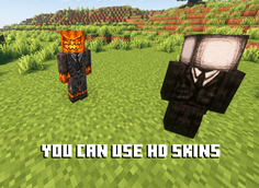 HDSkins.png