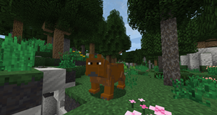 bear.png