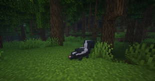 A lone skunk taking a nap in a forest