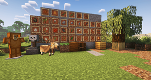 Showcase Content 0.3.1