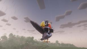 Flying pokemon