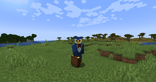 Dimensional Suitcase