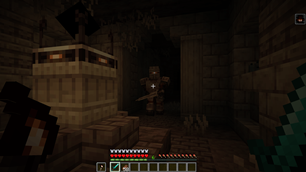 Void Soul Knight in the Catacombs