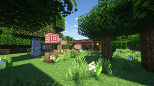 Camp