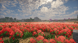 Screenshot (167)-min.png