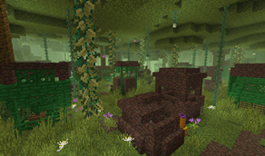 The Village