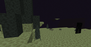 Some flatspines chilling