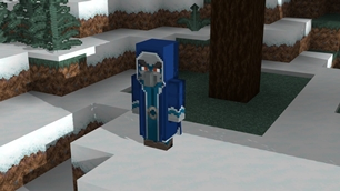 The Iceologer