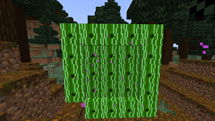 portal.png