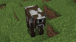 The one eyed cow