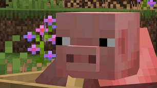 Porky Side Eye