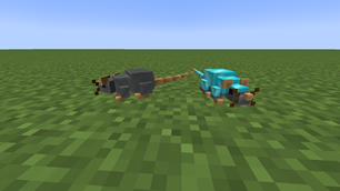 Domesticated rats.png
