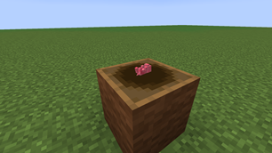 Newborn rat in the nest.png