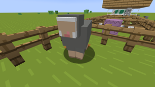 SHEEP BEFORE