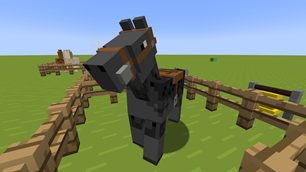 HORSE AFTER