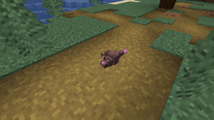 Spooky Rat