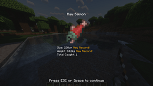 Fishing Sucess Screen