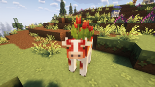 red tulip moobloom