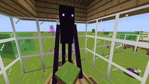 ENDERMAN BEFORE