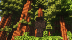 Spectral Armor