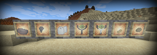 Rhumya Items