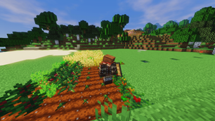 A small home