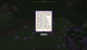 Allium Book Page 1