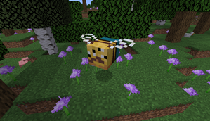 Beebav Boss