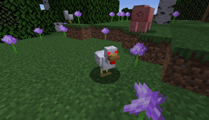 Chicken Jack