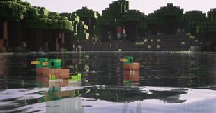 Ducks swimming