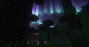 The Twilight Forest!