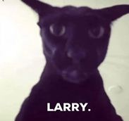 why-is-larry-so-evil-v0-ty3qlu4swjle1.webp