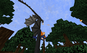 Dragon fight