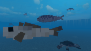 underwater creatures